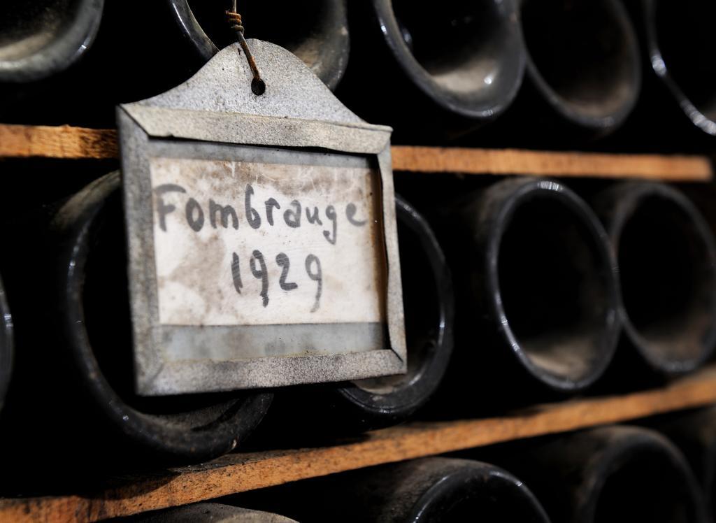 Saint-Christophe-des-Bardes Chateau Fombrauge מראה חיצוני תמונה