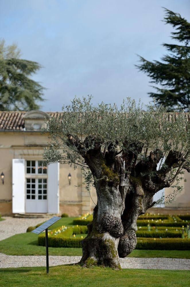Saint-Christophe-des-Bardes Chateau Fombrauge מראה חיצוני תמונה